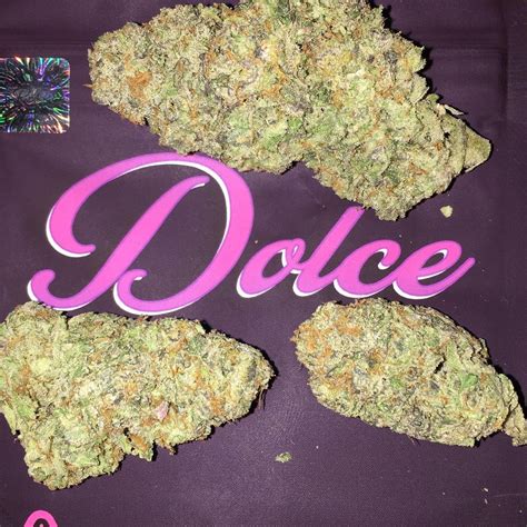 Dolce Strain Complete Review 